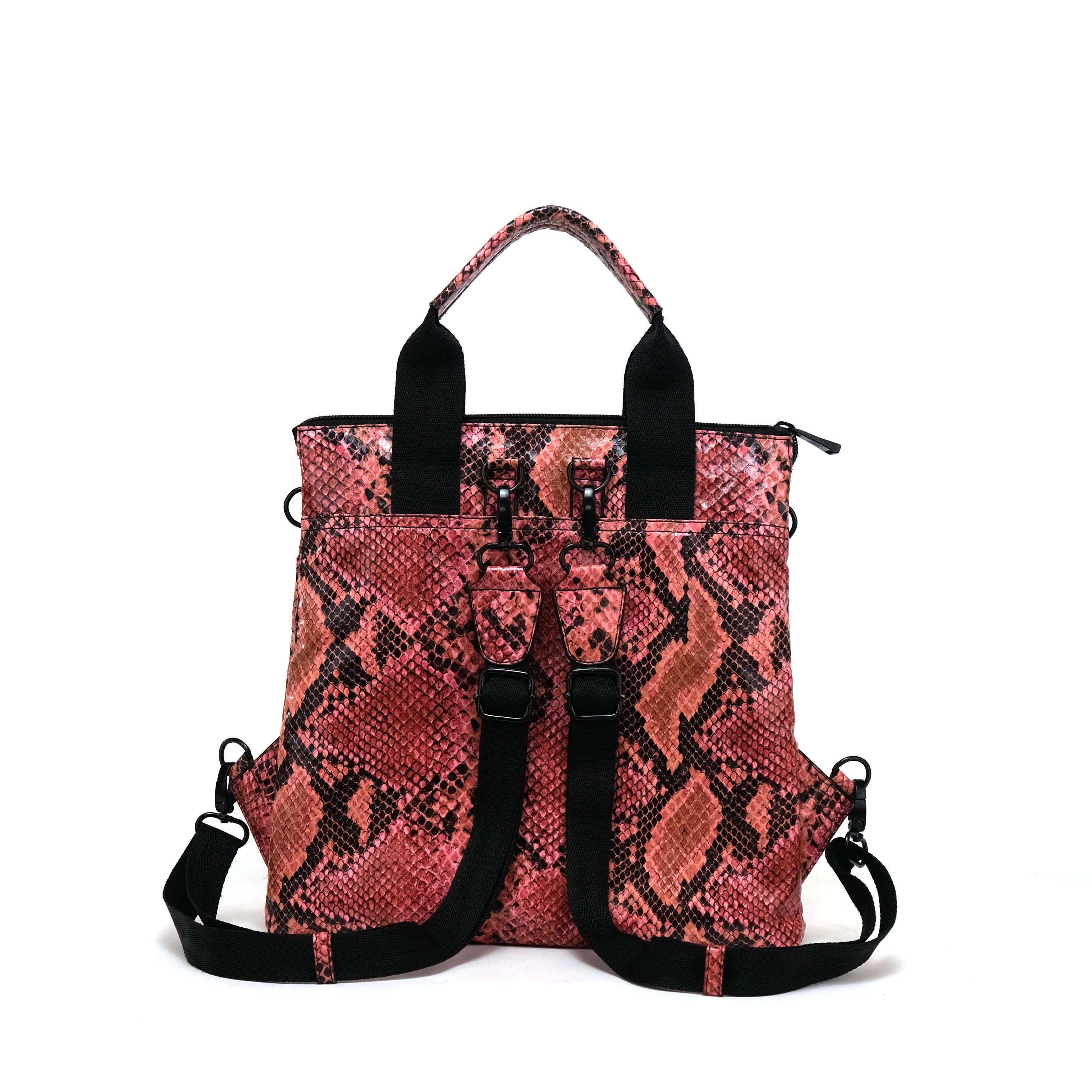 Adri Snake Coral